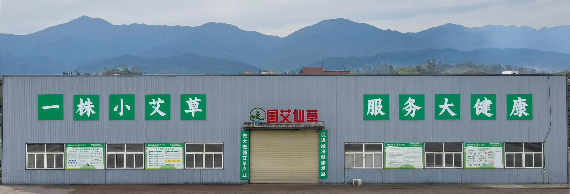 国艾仙草源头工厂