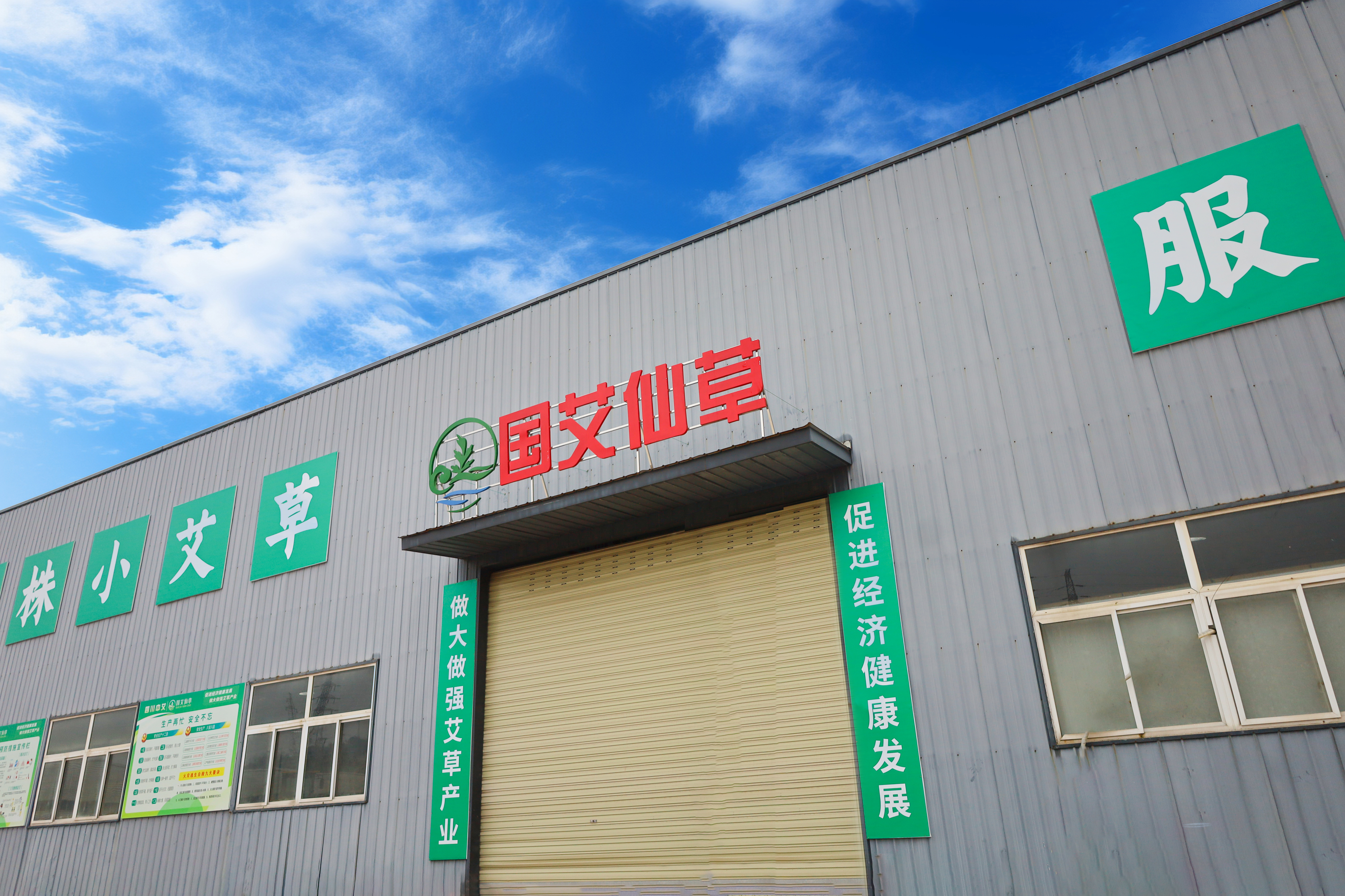 国艾仙草源头工厂